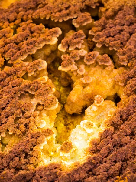 Dallol Danakil depresyon, Etiyopya — Stok fotoğraf