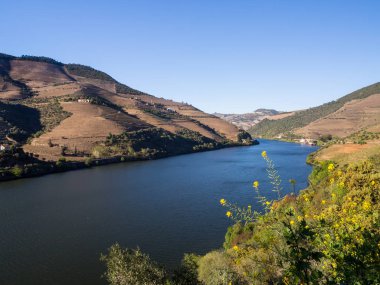River Douro in Vale do Douro
