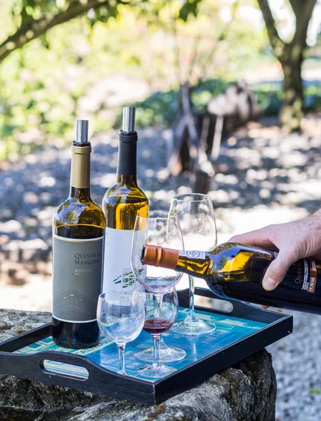 Degustación de vinos en Vale do Douro — Foto de Stock