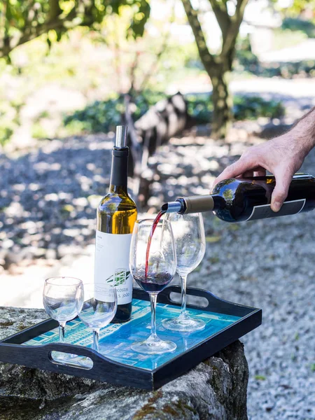 Degustación de vinos en Vale do Douro — Foto de Stock