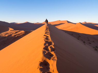  Namib Dune 45 gün doğarken seyreden
