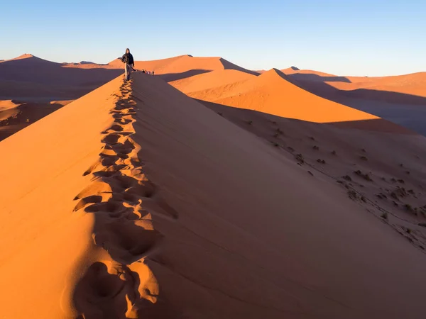 Ember figyelte a napfelkeltét a Namíb Dune 45 — Stock Fotó