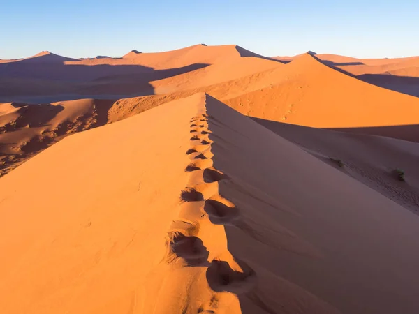 Sunrise at Dune 45 in de Namib woestijn — Stockfoto