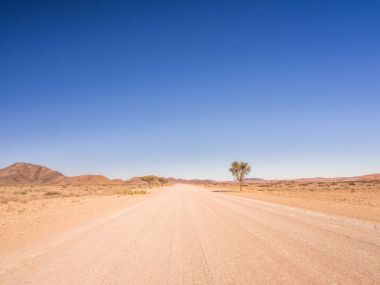 Namib-Naukluft Ulusal Parkı 