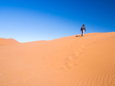 İnsanlar ölü Vlei Namib-Naukluft Milli Parkı'nda yürüyüş