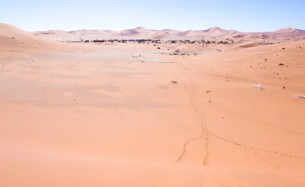 Landcsape em torno de Dead Vlei no deserto do Namib — Fotografia de Stock