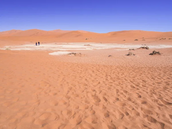 Personnes marchant vers Dead Vlei — Photo