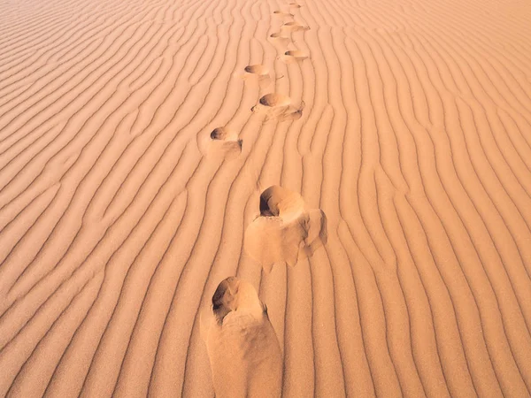 死谷看似在沙丘上的足迹 — 图库照片