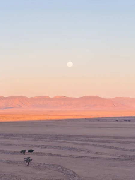 Landschaft in der namib-Wüste — Stockfoto