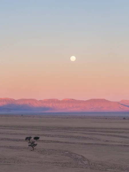 Paesaggio del deserto del Namib — Foto Stock
