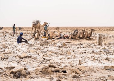 Afar erkekler tuz madencilik 