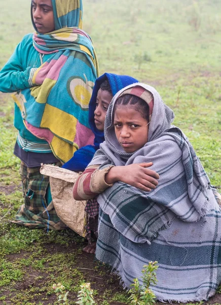 Dzieci w góry Semien, Etiopia — Zdjęcie stockowe