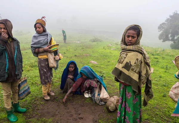 Dzieci w góry Semien, Etiopia — Zdjęcie stockowe