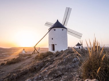 Consuegra yılında eski yel değirmenleri
