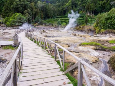 Sao Miguel adasındaki Fumarolas da Lagoa das Furnas, Azores.