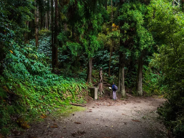 Person Tail Lagoa Das Furnas Sao Miguel Island Azores — Stock Photo, Image