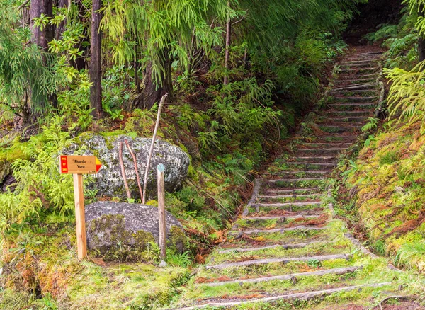 Way Pico Vara Highest Mountain Island Miguel Portuguese Archipelago Azores — Stock Photo, Image