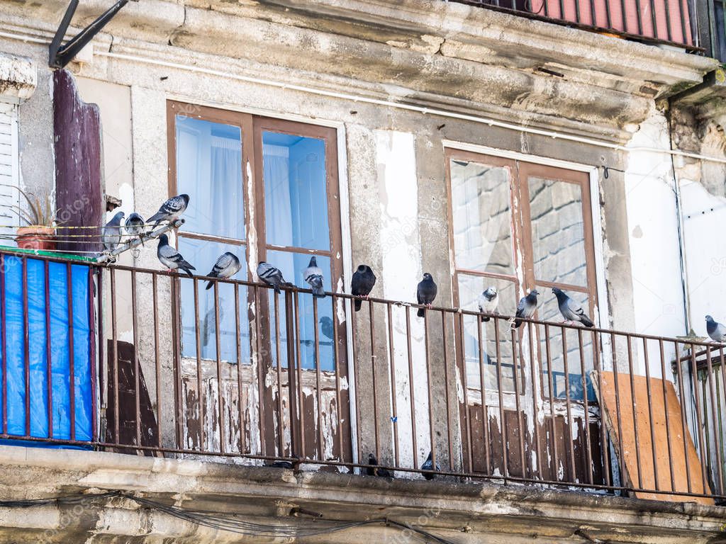 Old building in the Old Town of Porto in Portugal. Pigeons on the balcony.