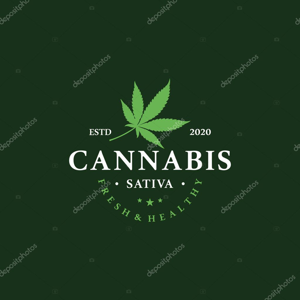 Marijuana health medical cannabis logo designs vector hemp cbd oil extract green leaf
