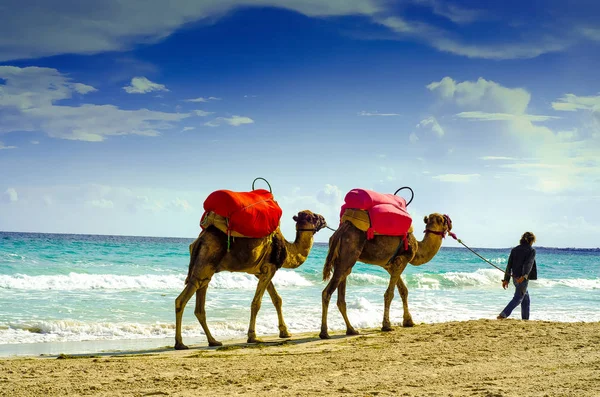 Deve Plajı, Djerba, 07 Kasım 2014