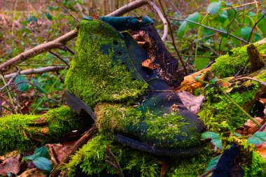 vermooster Stiefel im Wald