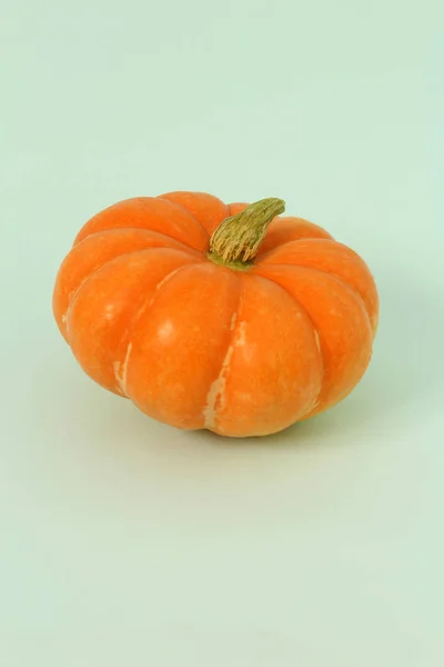 Yeşil arka planda organik kabak