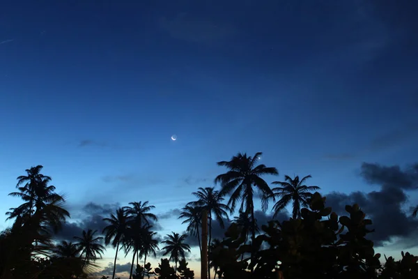 Gece gökyüzü karanlık mavi gökyüzü ve ay ile
