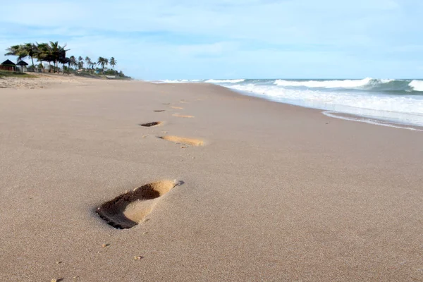 Kumsaldaki kumda ayak izleri.