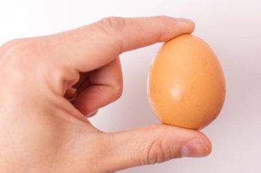 Mano sujetando un huevo