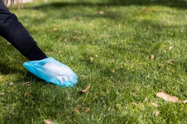 Kadın, çöpten köpek gübresi topluyor.