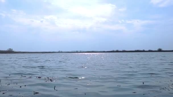 Großer See Ein Wenig Wind Das Wasser Macht Sich Sorgen — Stockvideo