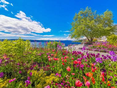 Renkli çiçeklerle güzel Constance Gölü 'nde tatil zamanı