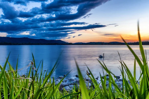 Lake Constance Sunset Colorful Cloud Mood — Stock Photo, Image