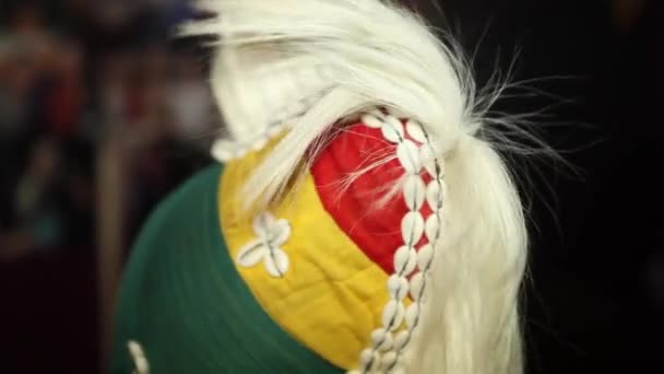 Αφρικανική εθνική ενδυμασία. Κουάφ με ένα λοφίο από τα μαλλιά. Γκρο πλαν — Αρχείο Βίντεο