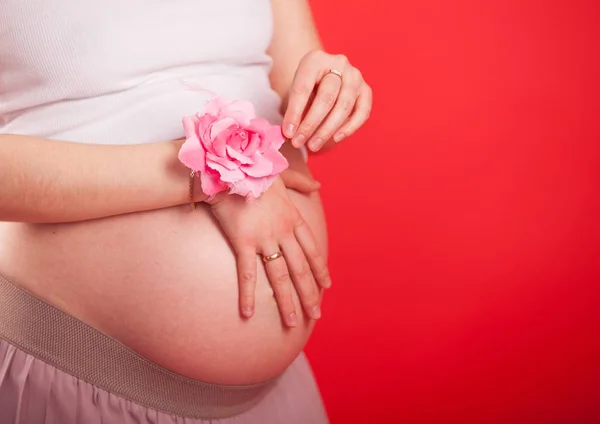 Immagine di una donna incinta che si tocca la pancia con le mani Foto Stock Royalty Free