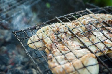 kömür ızgara yaz lezzetli sulu et