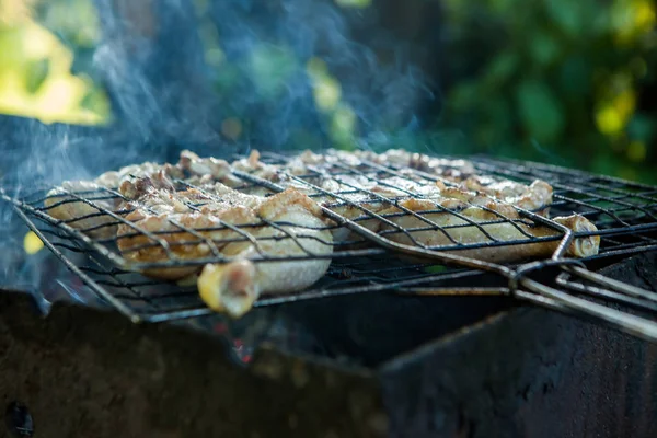 Jambes de poulet grillées sur le gril extérieur — Photo
