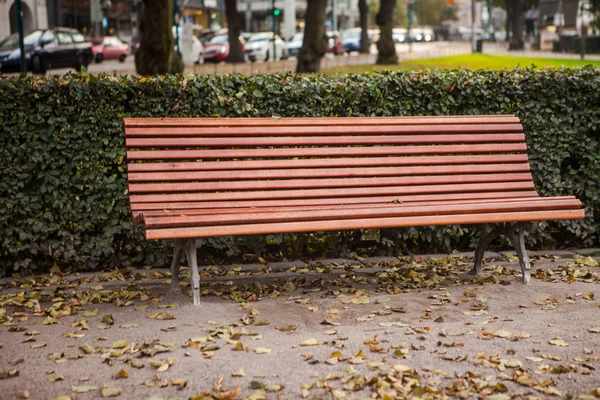 Beautiful bench in the park — Stock Photo, Image