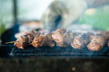 ızgara Caucasus Barbekü duman. Sığ derinlik-in tarla