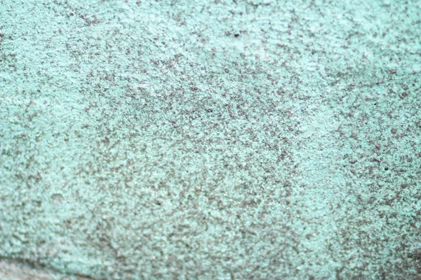 コンクリートのカビで覆われているマクロ — ストック写真