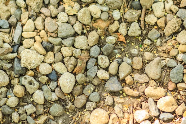 Establecer piedras en el sendero del bosque — Foto de Stock