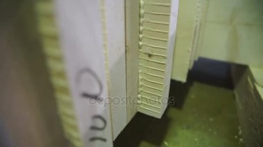 panoları güverte kesti. Günlük plakalar ve kirişler günlükleri işleme satırları'nı kullanarak kesti. Modern kereste fabrikası ürün görünümünü kapat