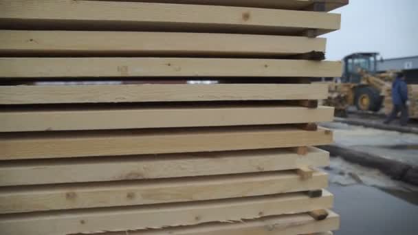 Αποθήκευσης ξυλείας. Ναυπηγείο ξυλείας. Στοίβα από σωρό ξύλο της μπάρας στο ναυπηγείο ξυλείας εργοστάσιο χρήση ξύλινων κατασκευών. Απόθεμα από ξύλο κατασκευή ξυλείας στην αποθήκη — Αρχείο Βίντεο