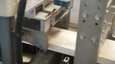 Ağaç işleme konveyör fabrikasında