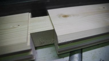Ağaç işleme konveyör fabrikasında