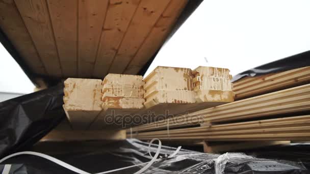 Acabado buenoUn gran hangar con una línea de producción de madera. El plan general de la planta para la producción de madera: la producción de madera aserrada a partir de chapa laminada. Interior de la producción — Vídeo de stock