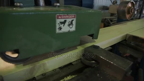 Madera transportada en una cinta transportadora en una fábrica de transformación de madera — Vídeo de stock