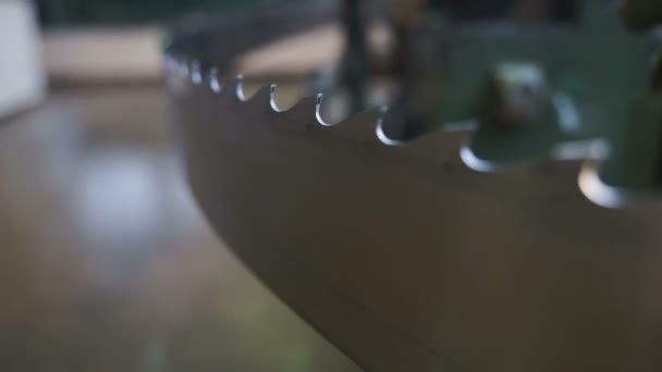 Processo de trabalho de serra circular close-up — Vídeo de Stock