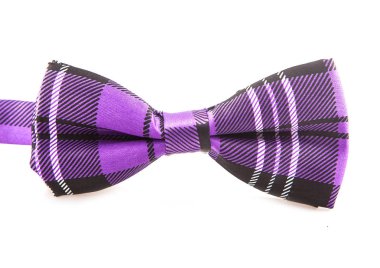 Mor yay yakın çekim izole beyaz arka plan üzerinde beyaz