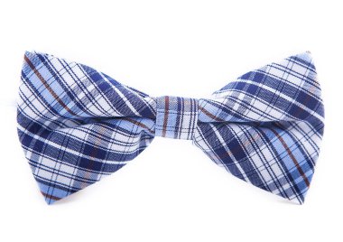 beyaz zemin üzerinde bir kafeste zarif mavi yay